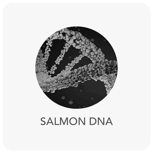 salmon-dna